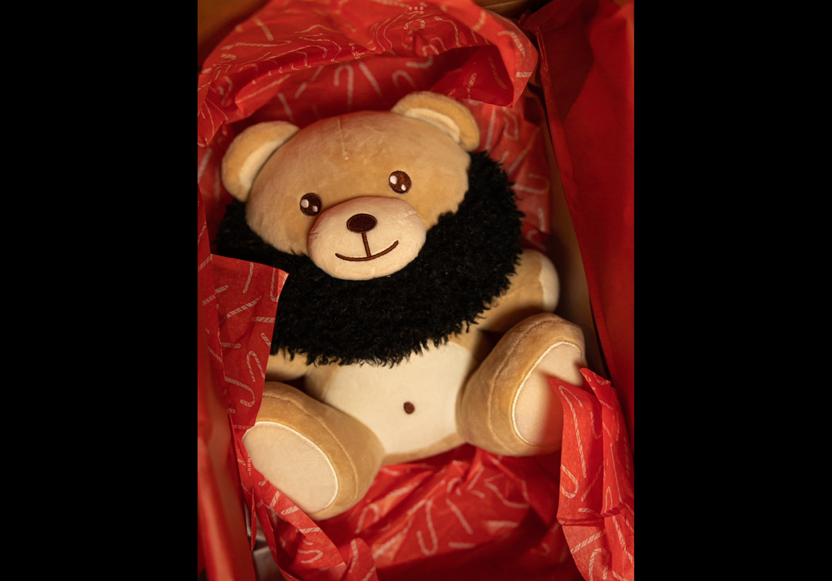 BaeBear - Bearded Teddy Bear Relationship Gift